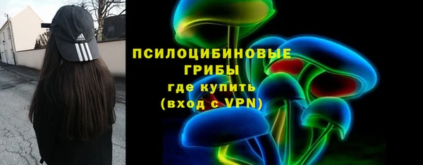 трава Беломорск