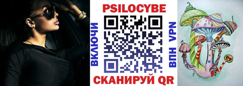 Галлюциногенные грибы Psilocybe  купить   Бор 