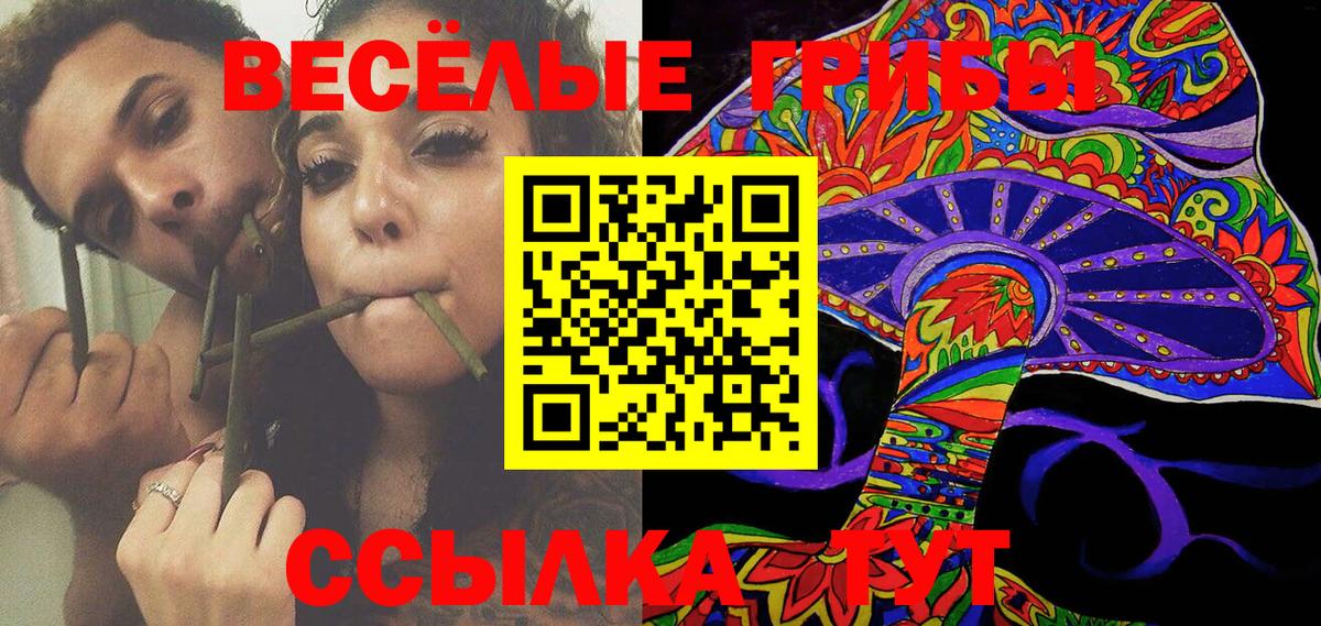 Галлюциногенные грибы Psilocybe  Галлюциногенные грибы Cubensis  купить  цена  Вход с VPN  Бор 