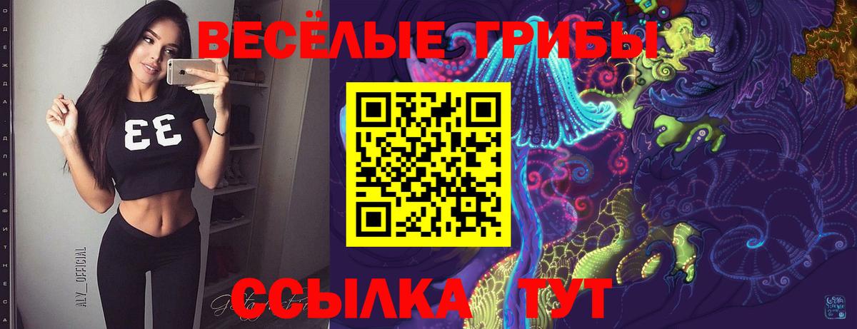 Галлюциногенные грибы Psilocybine cubensis Бор