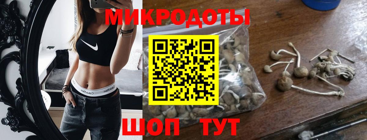 Галлюциногенные грибы прущие грибы Бор