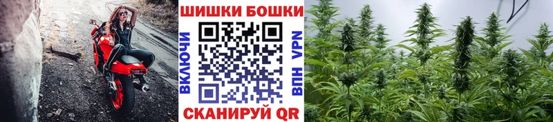 МАРИХУАНА ГИДРОПОН  даркнет сайт  Бор 